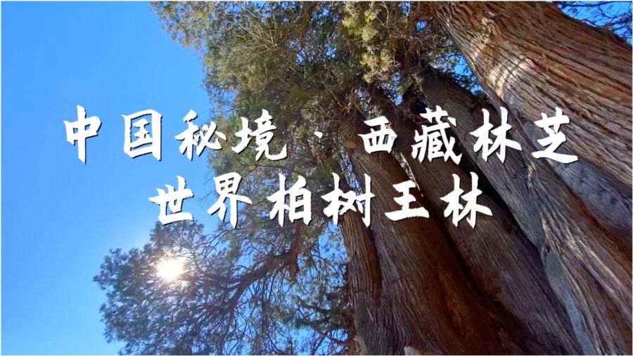 易币付游戏画面